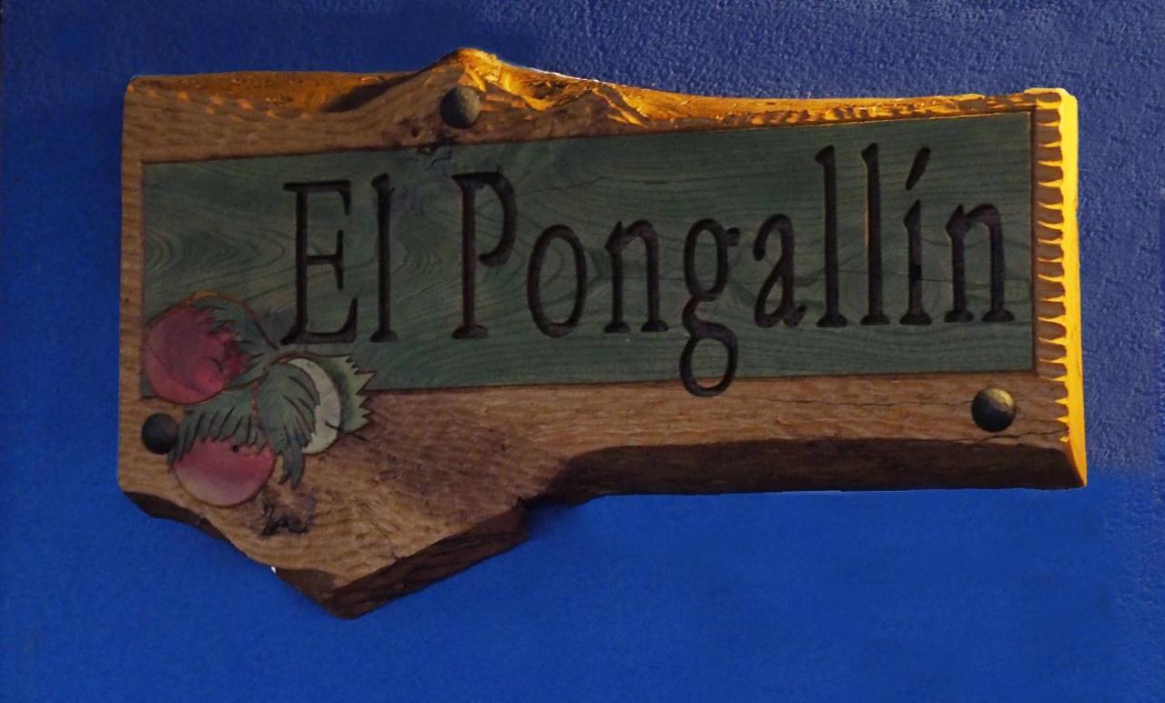 El Pongallin Ideal Para Familias V Vacacional 268 Sevares Zewnętrze zdjęcie